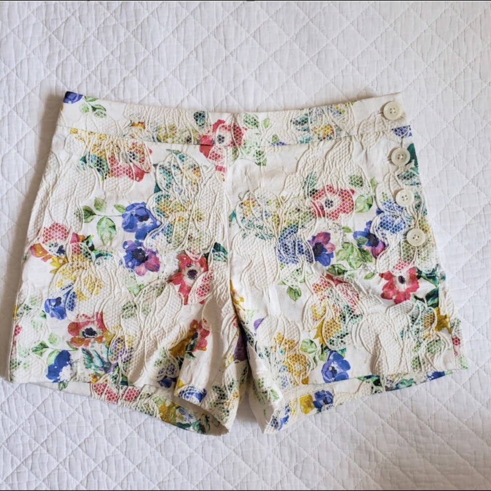 Anthropology elevenses shorts Size 4